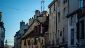 À Dijon, un roi bleu réveille les lieux familiers