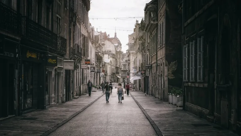 À Dijon, un roi bleu réveille les lieux familiers