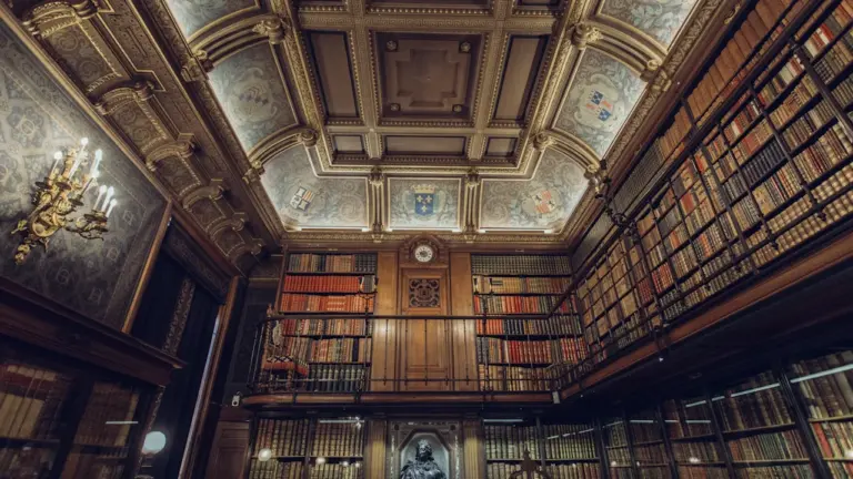 À Metz, les usagers peuvent peser sur les bibliothèques: ce qu’il faut retenir
