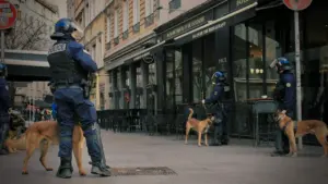 Chiens de travail en formation dans une rue commerçante de Montpellier.