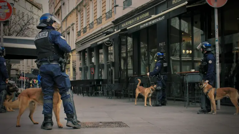 Chiens de travail en formation dans une rue commerçante de Montpellier.