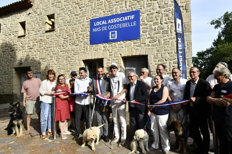 À Montpellier, des chiens formés pour sécuriser les trajets