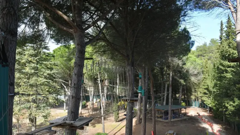 Parcours acrobatique en forêt avec plateformes en bois et cordages suspendus entre les arbres.