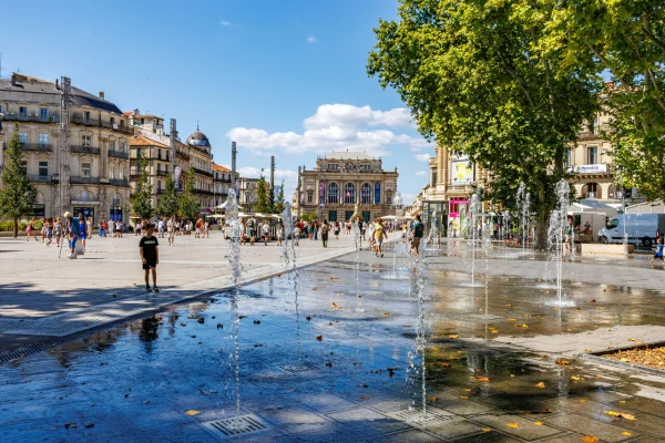 Montpellier face à un été à risque : les bons réflexes