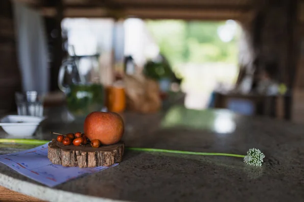 Près d’Orléans, un potager devient lieu de rencontres