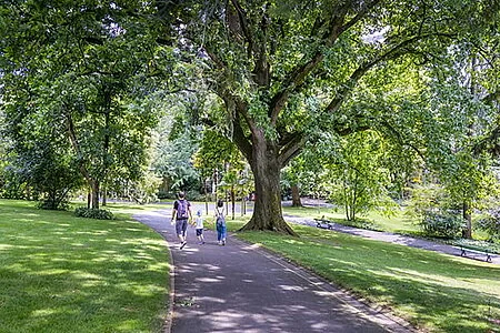 À Angers, deux grands parcs attendent l’avis des habitants