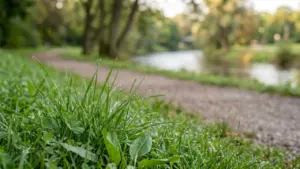 À Caen, une marche gratuite révèle la ville nature