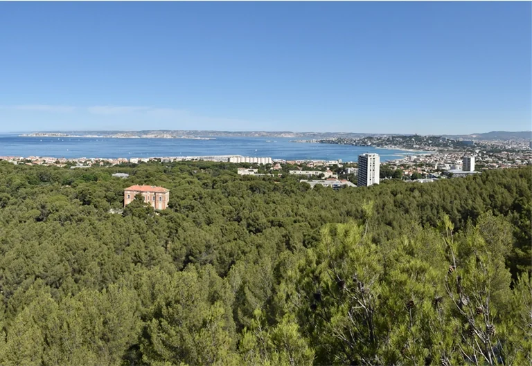 À Marseille, les massifs passent en alerte rouge