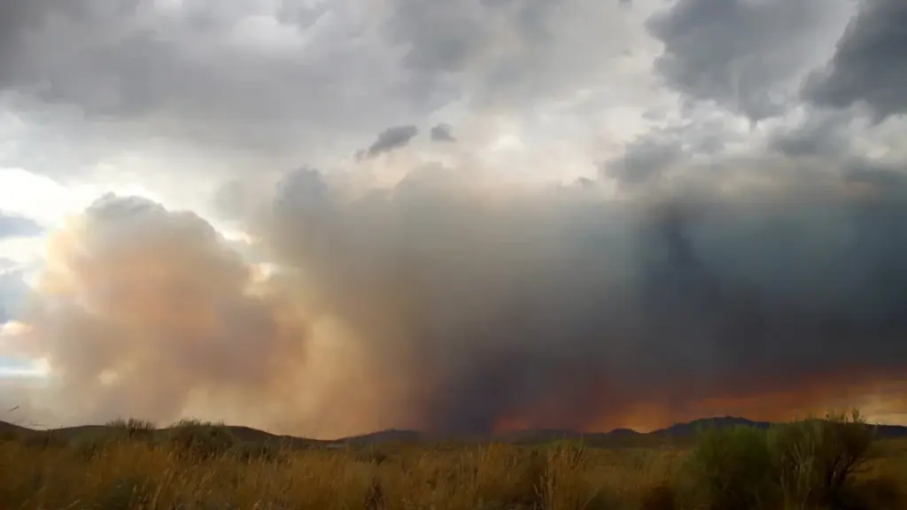 Un incendie se propage dans un champ sec sous un ciel nuageux.