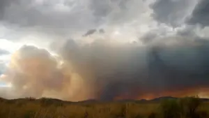 Un incendie se propage dans un champ sec sous un ciel nuageux.