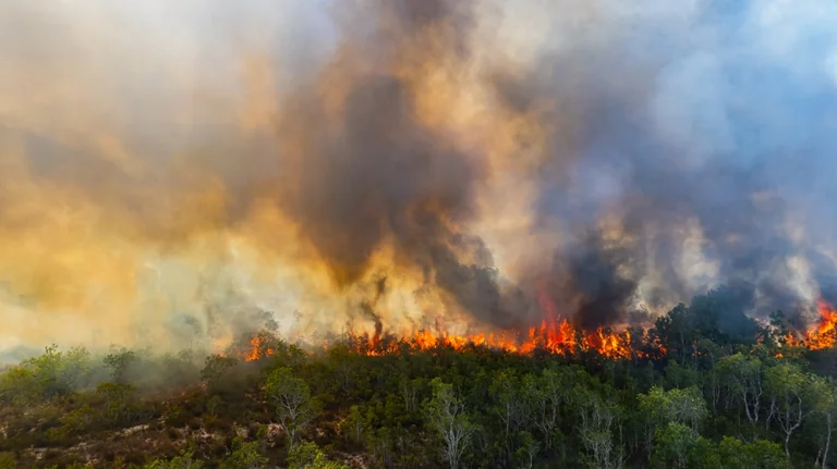 À Montpellier, ces gestes peuvent éviter un feu cet été