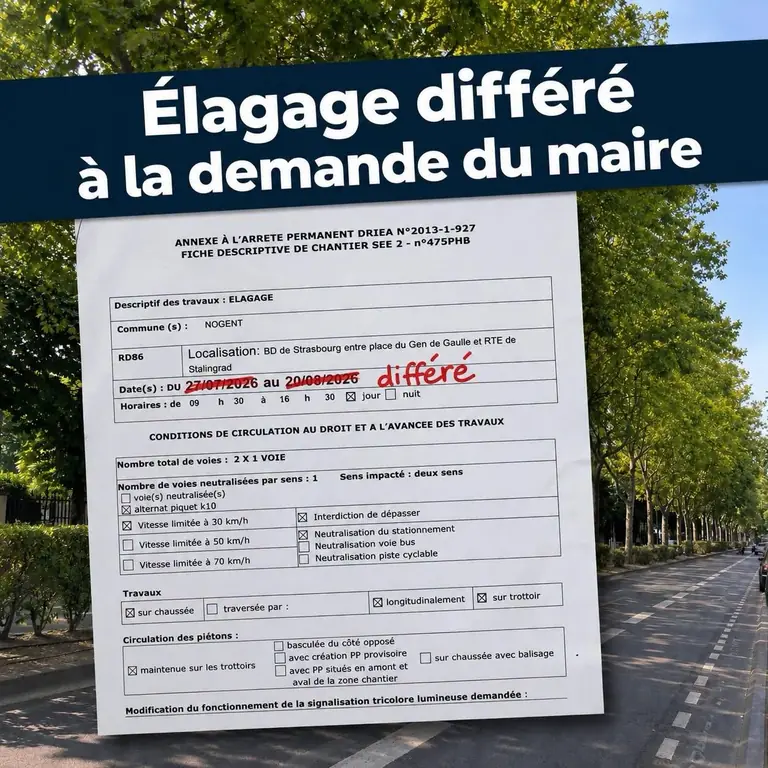 À Nogent-sur-Marne, l’ombre des arbres gagne un répit