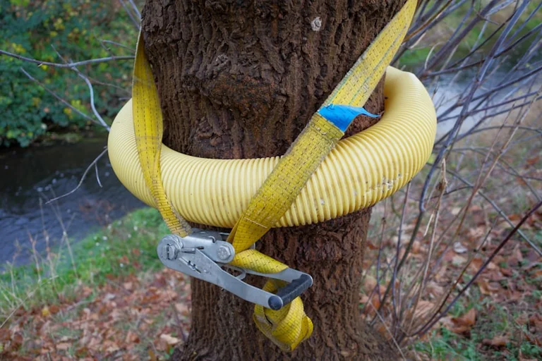 À Pornic, des travaux se poursuivent pour protéger les arbres