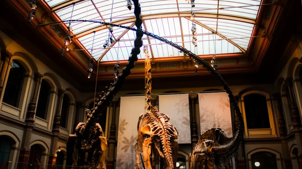 Squelettes impressionnants de dinosaures exposés dans une grande salle de musée historique.