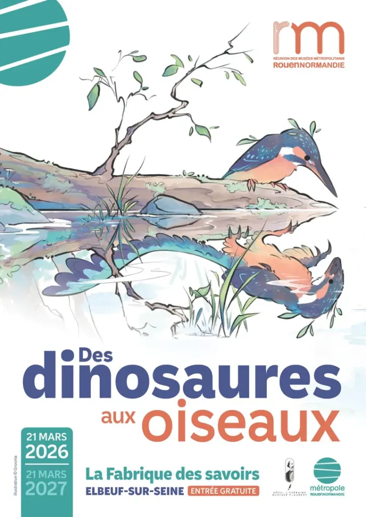 Du fossile au vol : un an d’exposition gratuite à Elbeuf