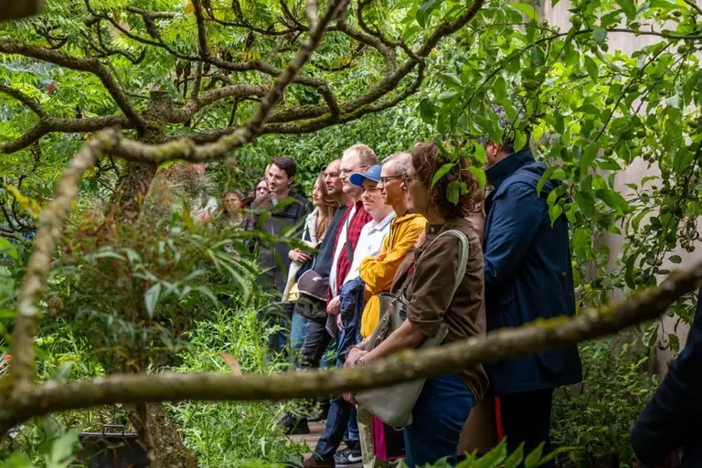 Metz : art, plage et sorties gratuites du 24 au 26 juillet