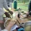 Montreuil : atelier cuisine gratuit le 30 juillet