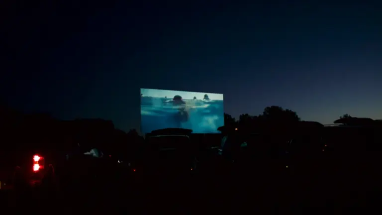 Partir en livre à Saint-Dizier : ciné au Jard le 24 juillet: ce qu’il faut retenir