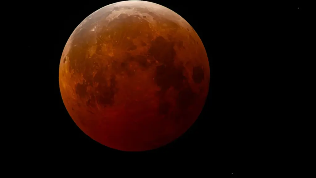 À Clichy, deux parcs ouvrent tard pour l’éclipse