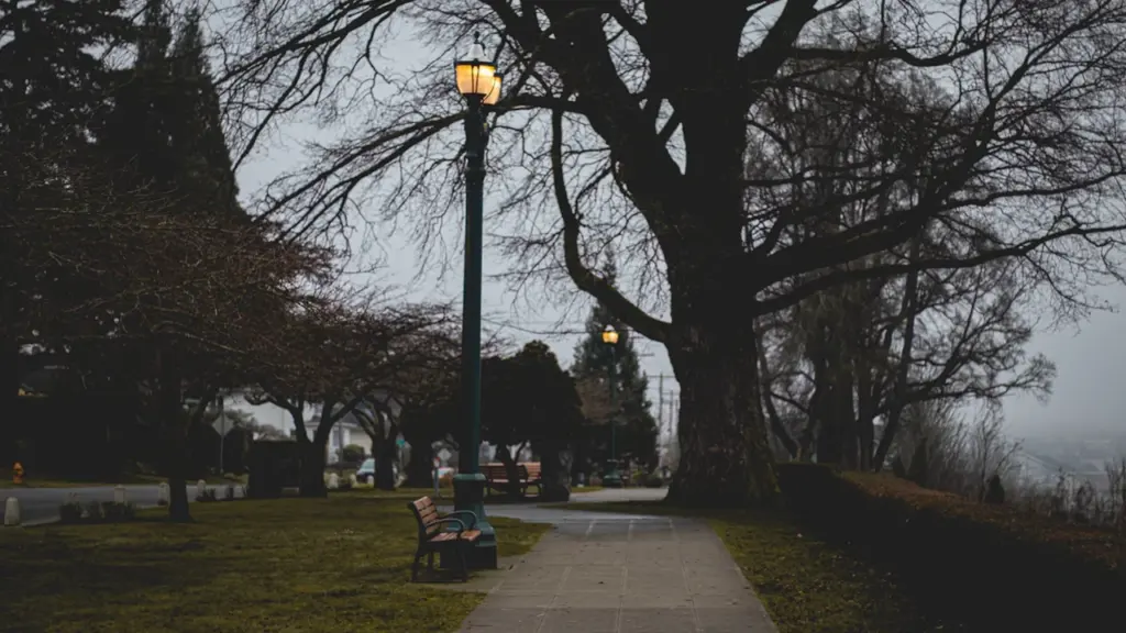 Un banc de parc vide sous un arbre au bord d'un chemin piétonnier.