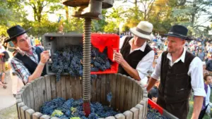 Ban des Vendanges à Avignon : le programme du 29 août 2026: les dates clés