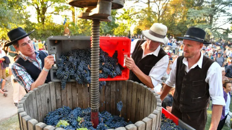 Ban des Vendanges à Avignon : le programme du 29 août 2026: les dates clés