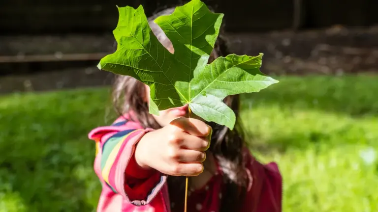 Dijon : une journée nature pour les tout-petits à l’Arquebuse