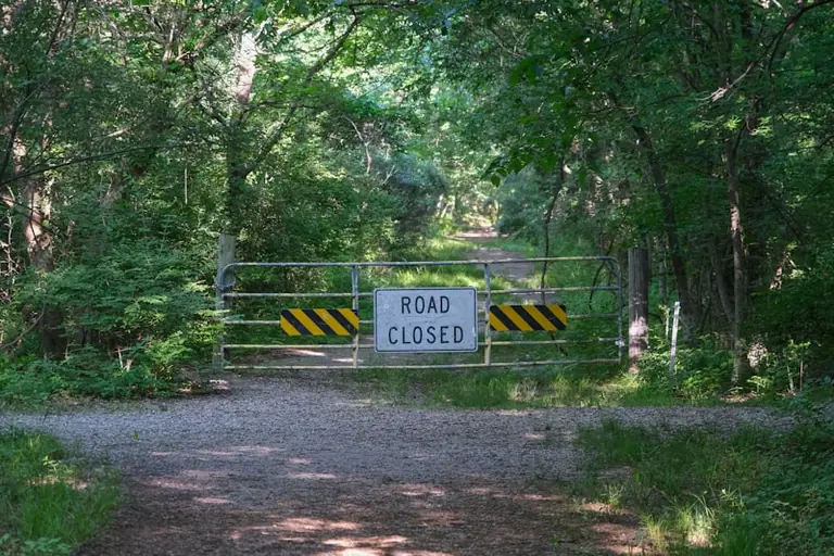 Hauts-de-Seine : restrictions de sécurité renforcées en forêt pour les sorties et activités