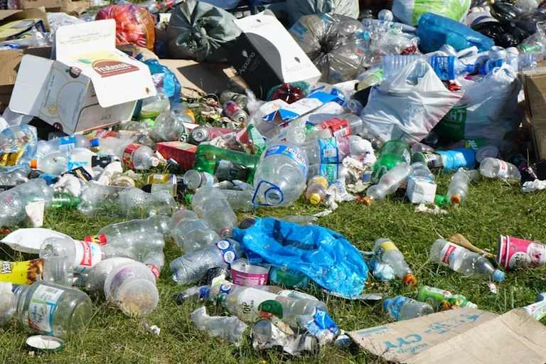 Ramassage de déchets à Carquefou : le programme du 20 août