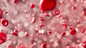 Illustration de globules rouges circulant dans le sang, concept médical pour un don.