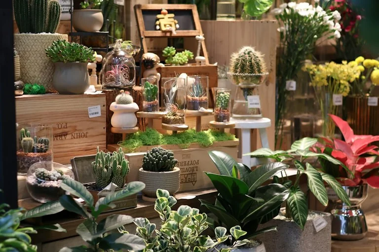 À Clichy, une fleuriste rouvre après 40 ans d'absence rue de l'ancienne mairie