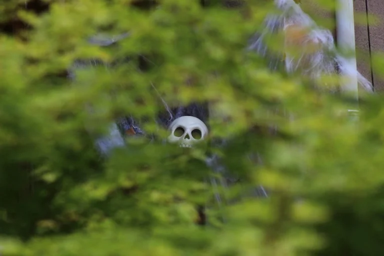 Châtenay-Malabry : Halloween s'empare de la ville le 31 octobre