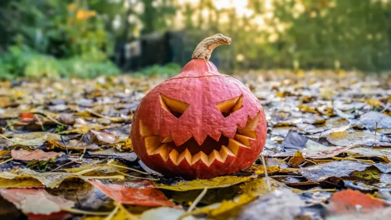 Halloween à Paris : 15 jours de frissons du 18 octobre au 1er novembre