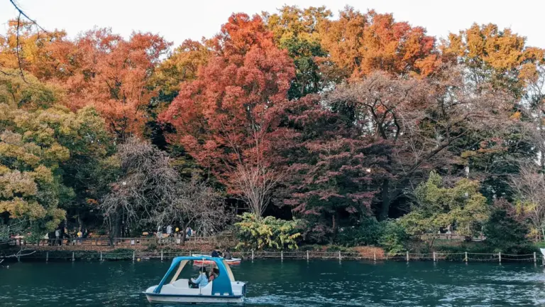Vacances d’automne à Nanterre : le programme des activités 2026